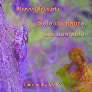 Marco Giaccaria - Solo un flauto, ma non solo